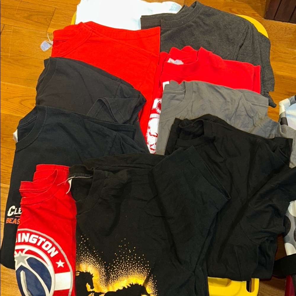EUC Lot of 10 size large tee shirts - reds, blacks